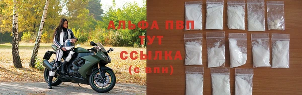 дмт Надым