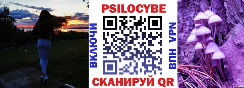 Псилоцибиновые грибы Psilocybine cubensis  KRAKEN tor  Остров 